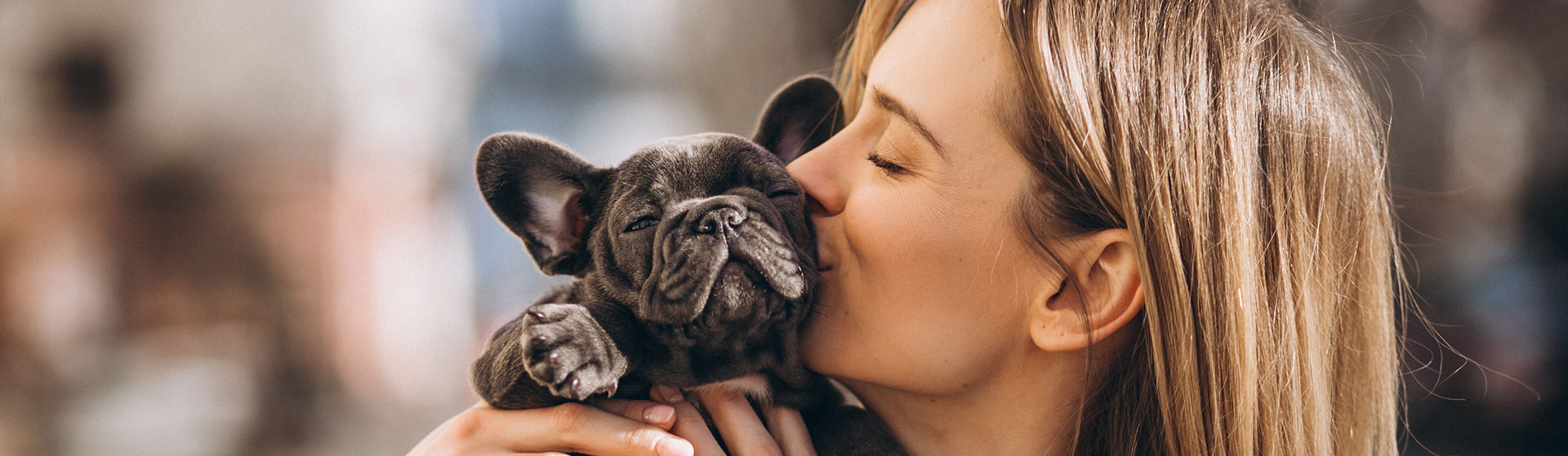 Dogsitter hundebtreuung
